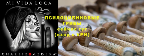 дурь Аркадак