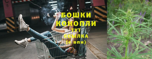 дурь Аркадак